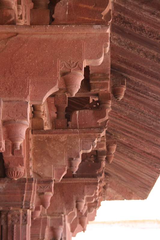 India & Nepal 2011 - 1331